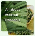 All About Medical Cannabis