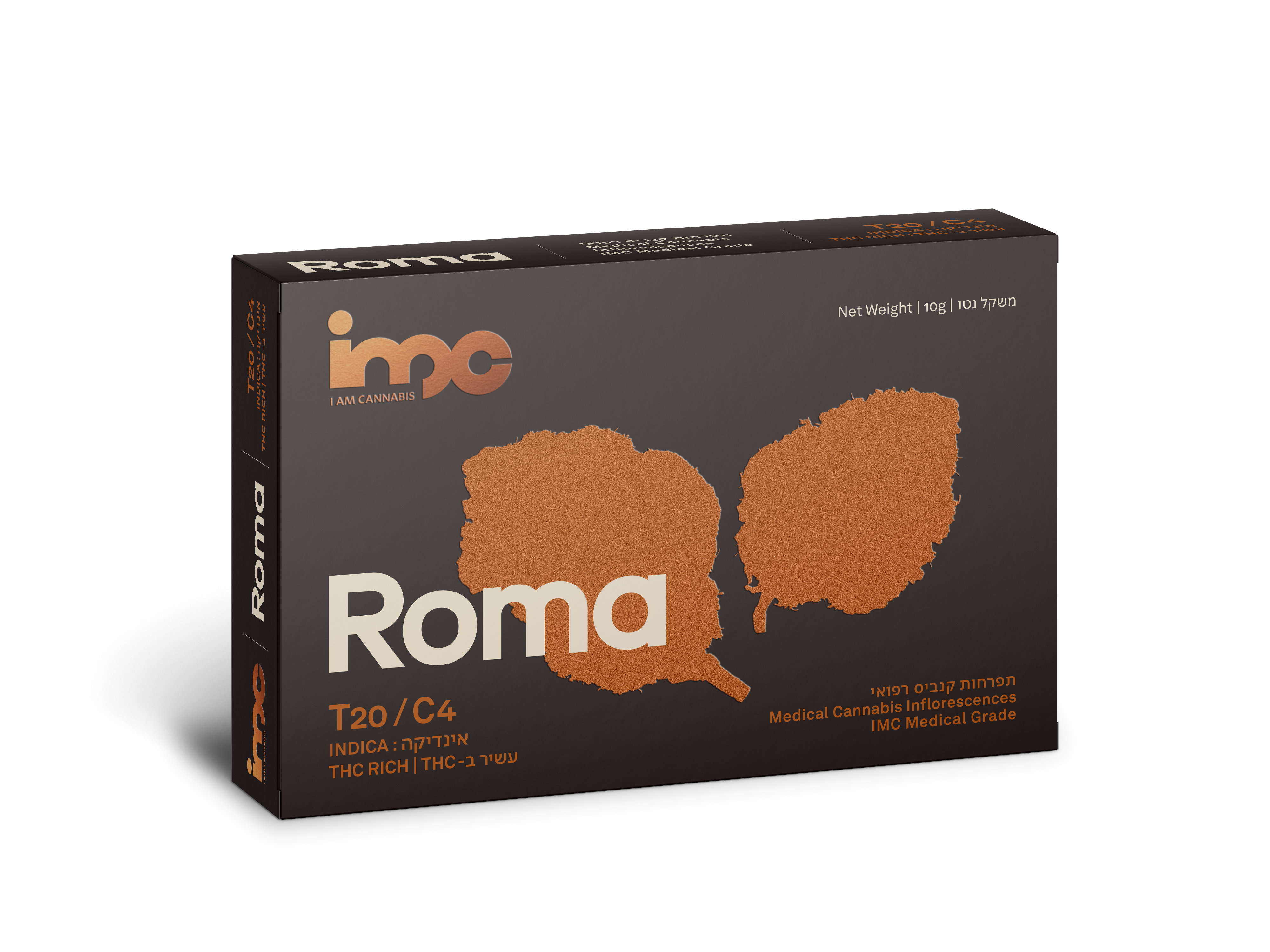 ROMA - Inflorescences