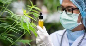 Matching The Medical Cannabis Strain to The Patient’s Specific Needs & Condition