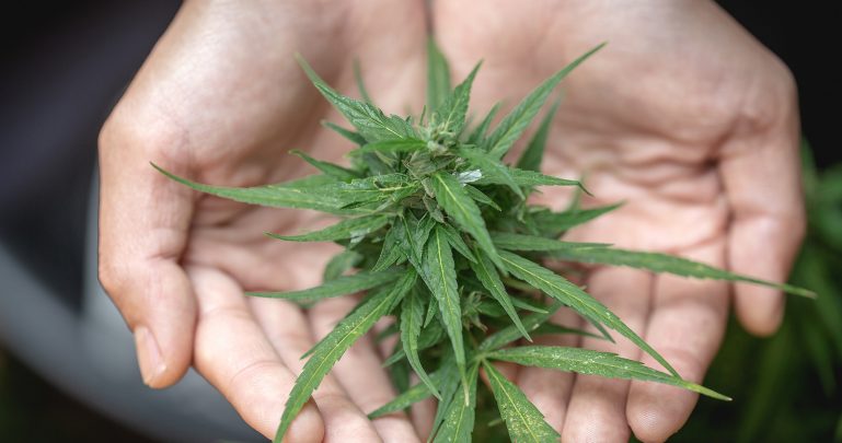“Thanks to cannabis, I changed. From being a child living on pills I am now an attorney”