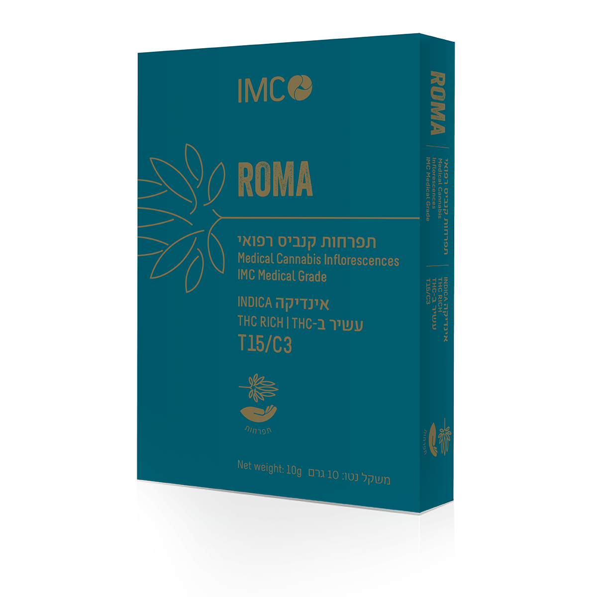 ROMA T15 - Inflorescences