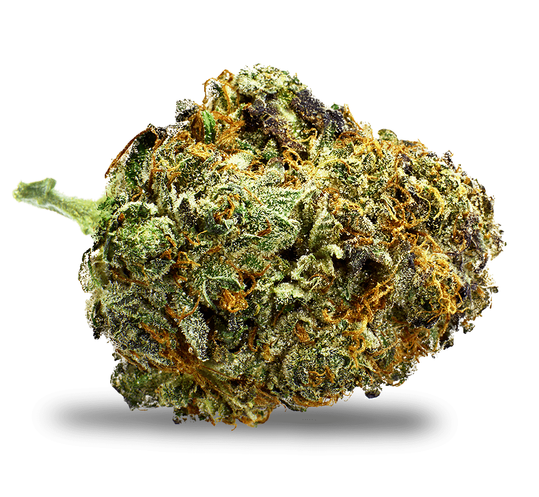 BC PINK KUSH