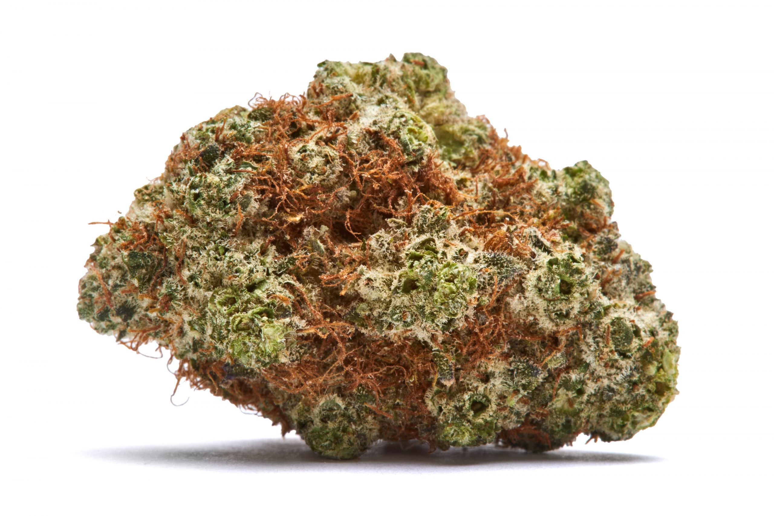 TROPICANNA GOLD