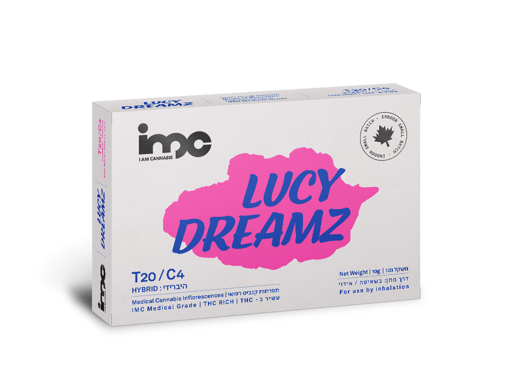 LUCY DREAMZ - 